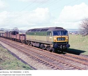 MM00895C