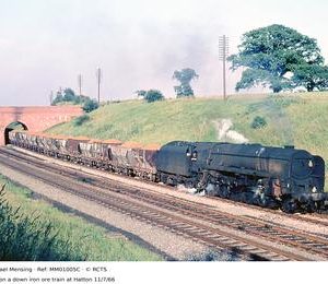 MM01005C