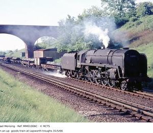 MM01006C
