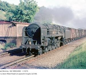 MM01009C