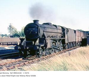 MM01010C