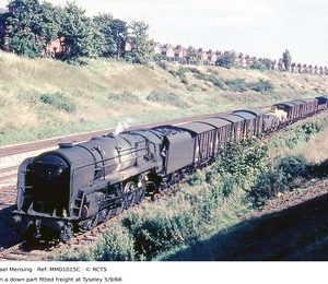 MM01015C
