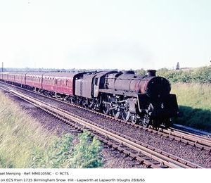 MM01059C
