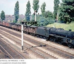 MM01061C