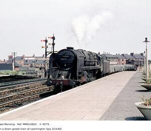 MM01082C