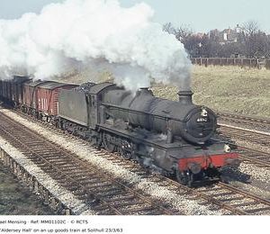 MM01102C