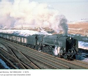 MM01105C