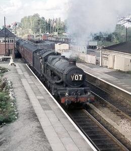 MM01135CVF