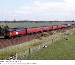 MSL0174C