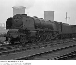 NB00017