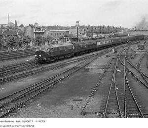 NB00077