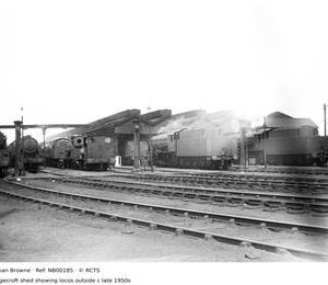 NB00185
