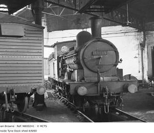 NB00241