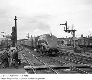 NB00356