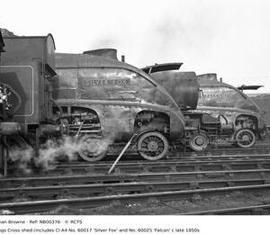 NB00376