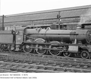 NB00446