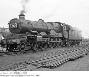NB00520