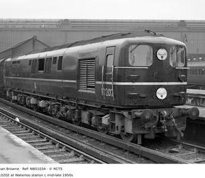 NB01034