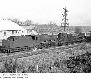 NB01050