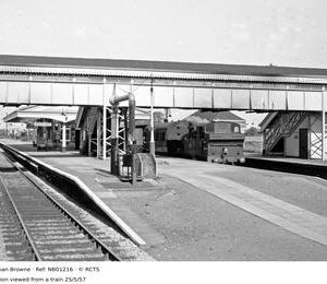 NB01216