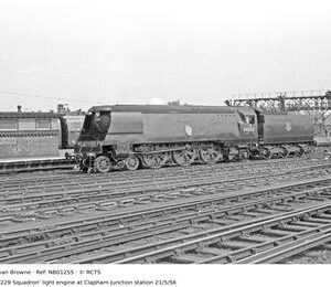 NB01255