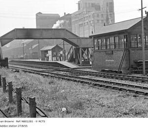NB01281