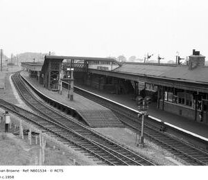 NB01534