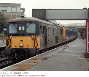 NB01699C