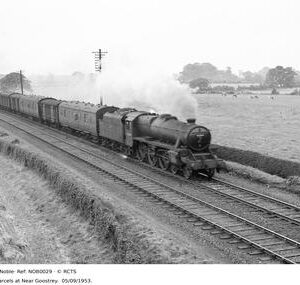 NOB0029