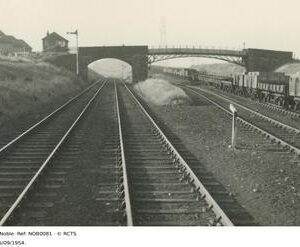 NOB0081
