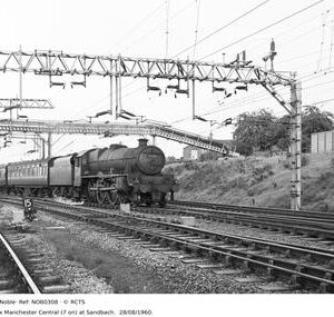 NOB0308