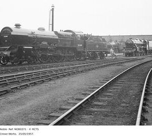 NOB0371