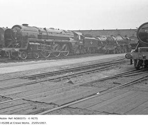 NOB0375