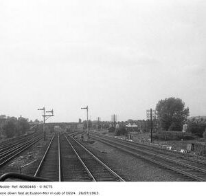 NOB0446