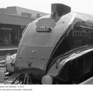 NOB0494