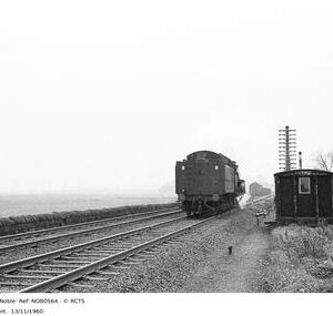NOB0564