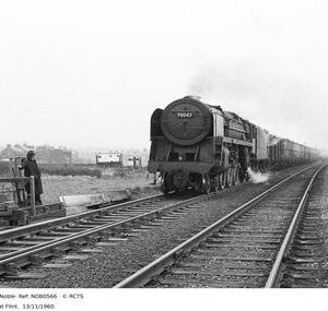 NOB0566
