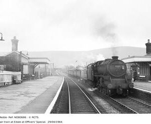 NOB0686
