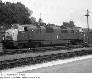PG00113