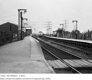 PG00313
