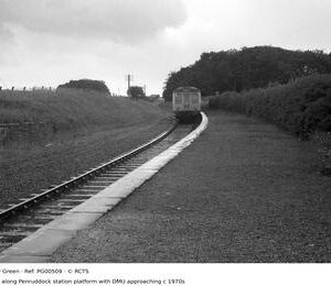 PG00509