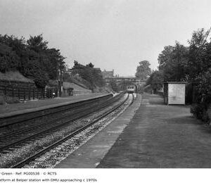 PG00538