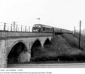 PG00838
