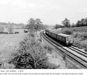 PG00955