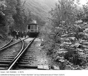 PG00981