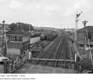 PG01099