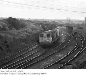 PG01240