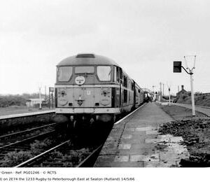 PG01246