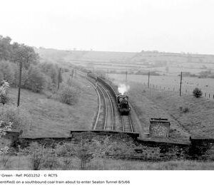 PG01252