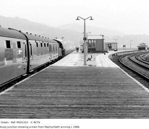 PG01312